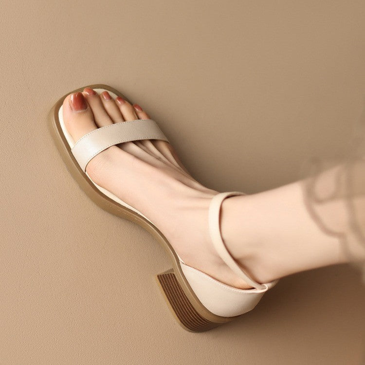 strappy sandal, low block heel