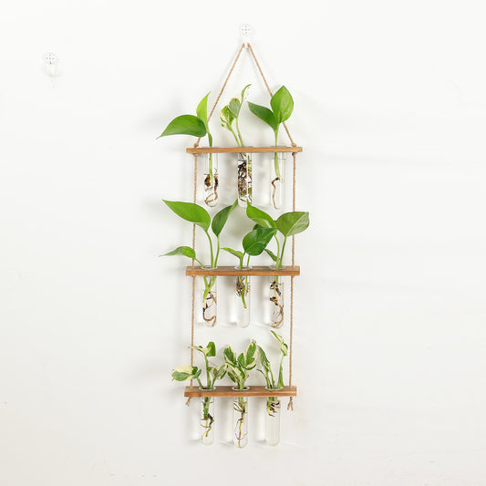 hydroponic plant test tube