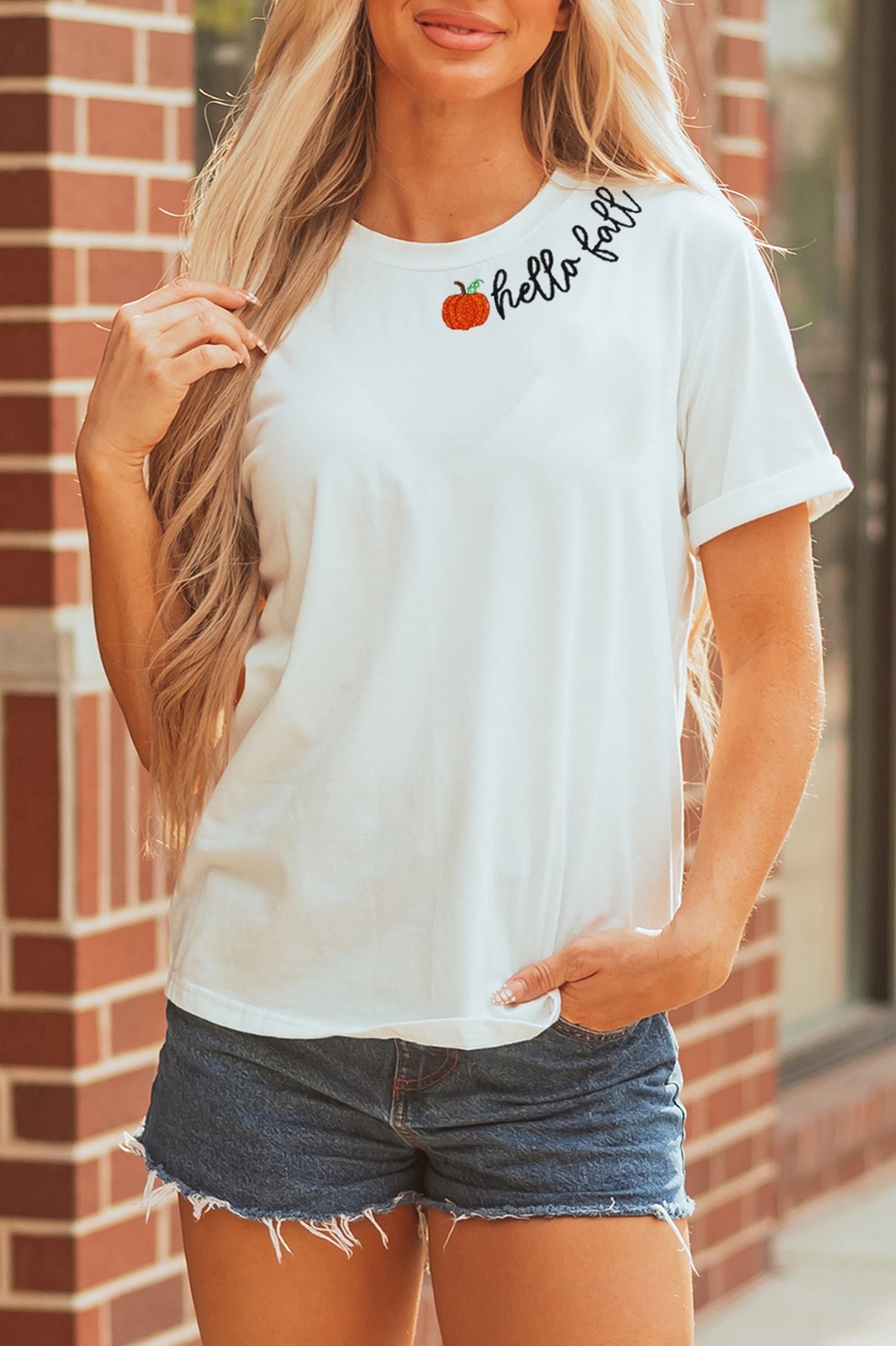 White hello fall Embroidered Pumpkin Hello Casual Round Neck T Shirt